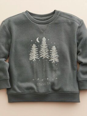 🤍✨ Little Co. by Lauren Conrad Fleece Pullover Sweatshirt – Size 2T ✨🤍